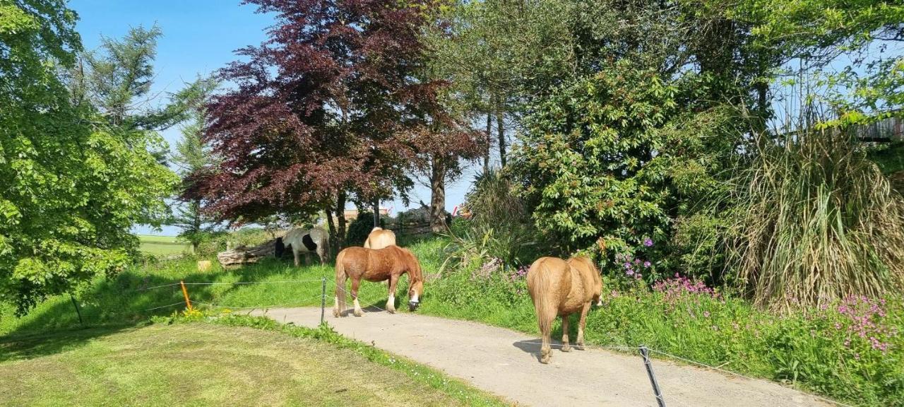 Trelawney Cottage, Sleeps Up To 4, Wifi, Fully Equipped Menheniot Bagian luar foto