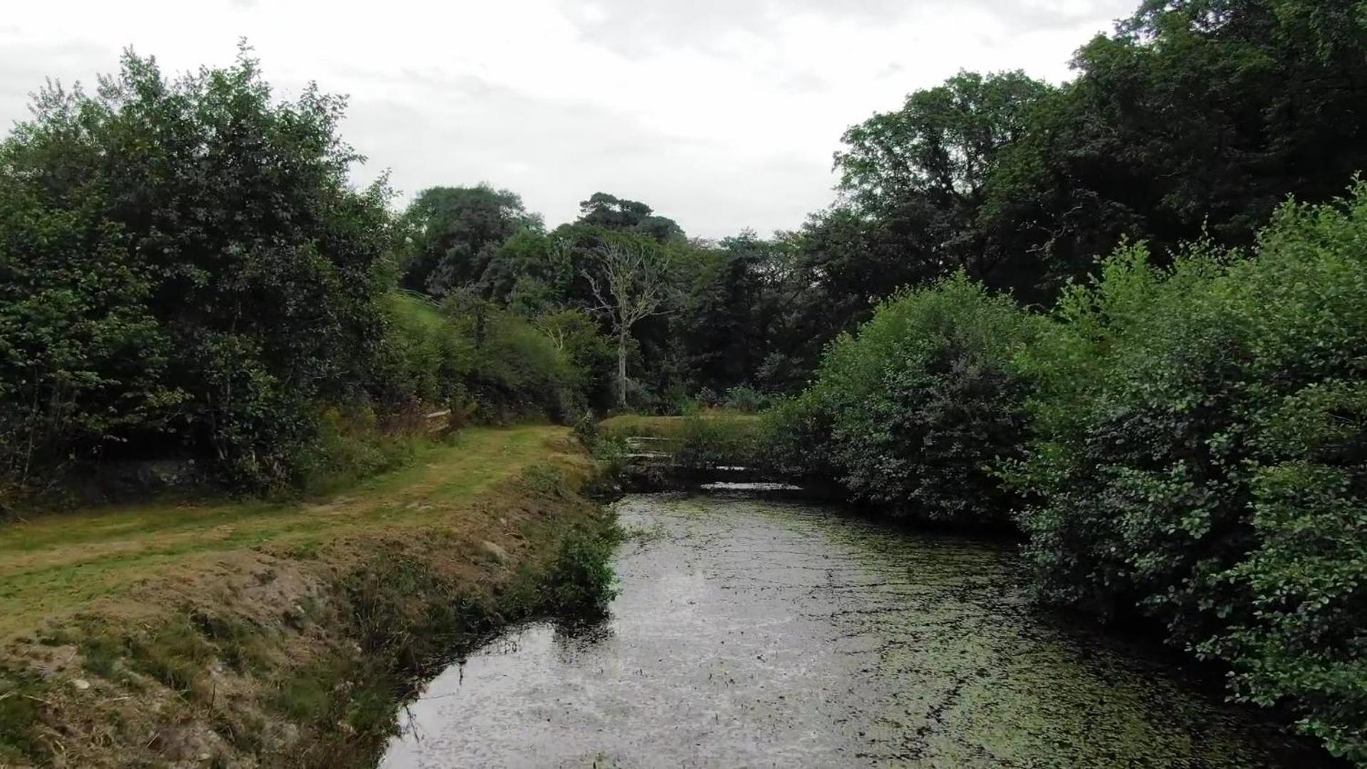 Trelawney Cottage, Sleeps Up To 4, Wifi, Fully Equipped Menheniot Bagian luar foto