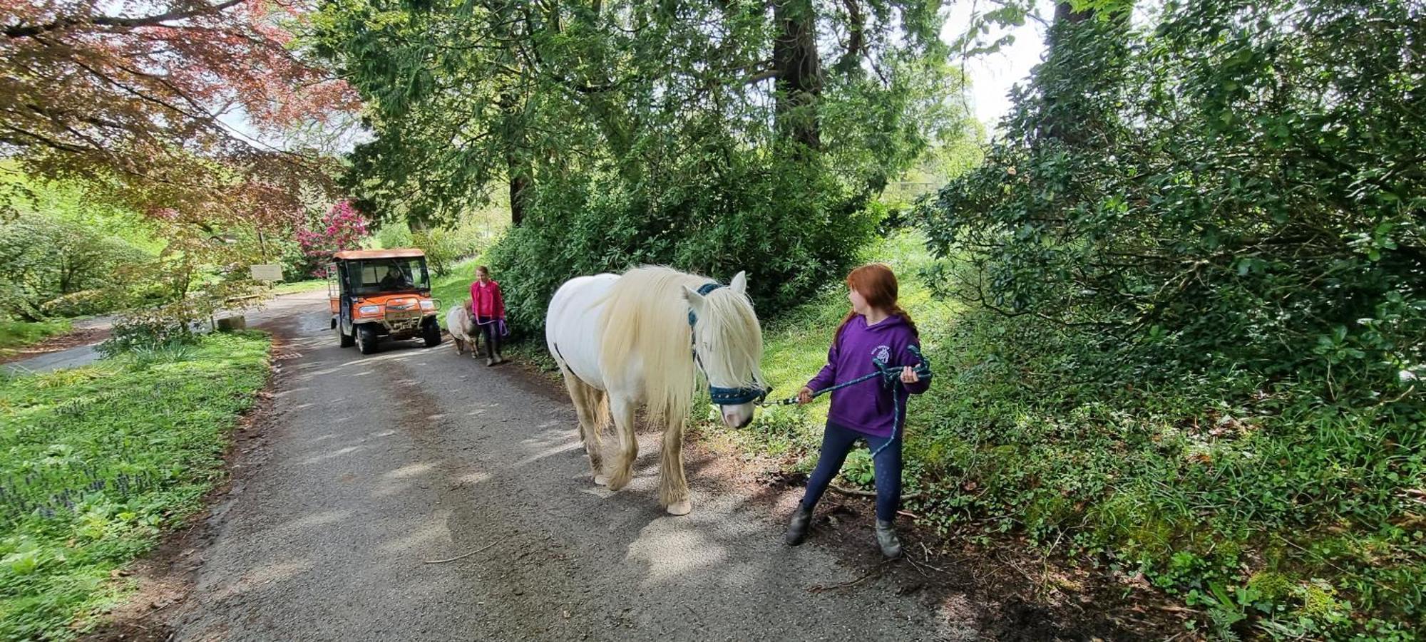 No 4 Trelawney Apartment - Onsite Bar - Restaurant - Horse Riding Menheniot Bagian luar foto