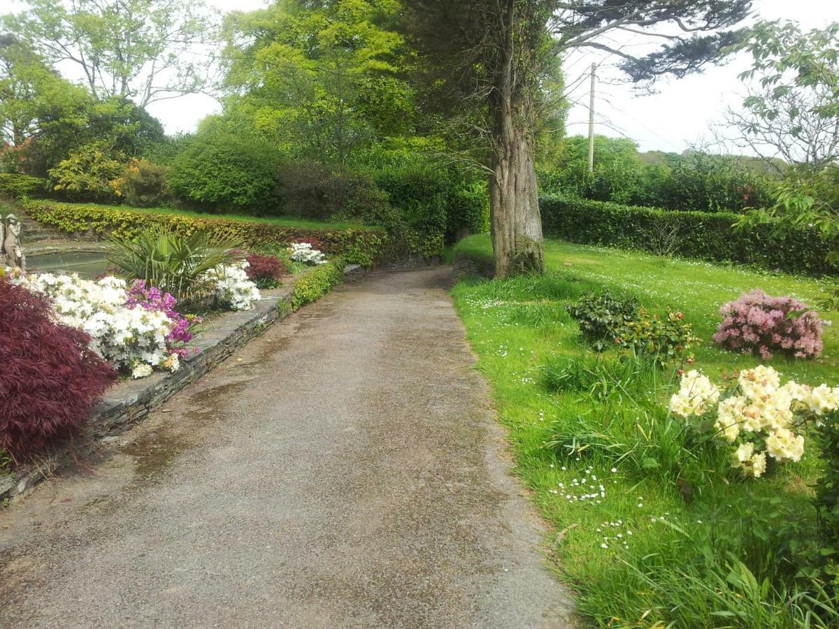 Trelawney Cottage, Sleeps Up To 4, Wifi, Fully Equipped Menheniot Bagian luar foto