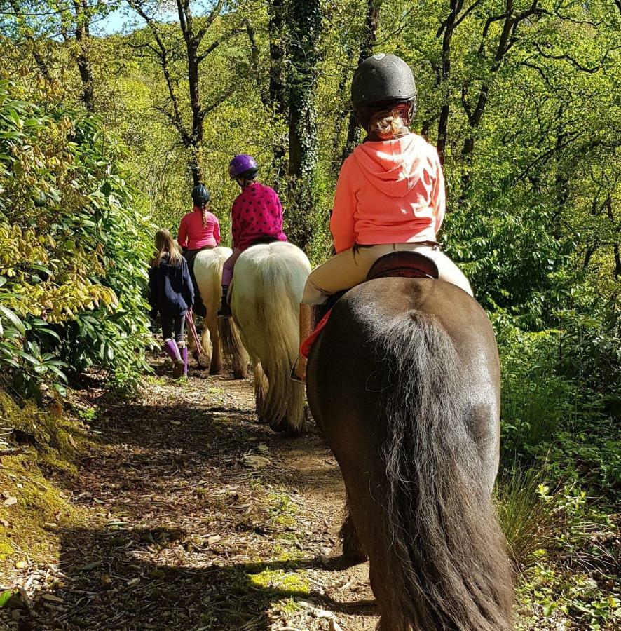 No 4 Trelawney Apartment - Onsite Bar - Restaurant - Horse Riding Menheniot Bagian luar foto